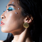 Seashell Earrings