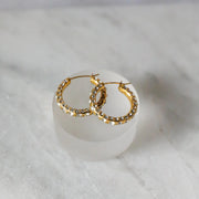 Seduce Hoop Earrings
