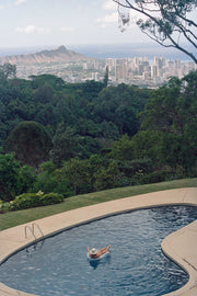 The Inca Bucket - Seashells